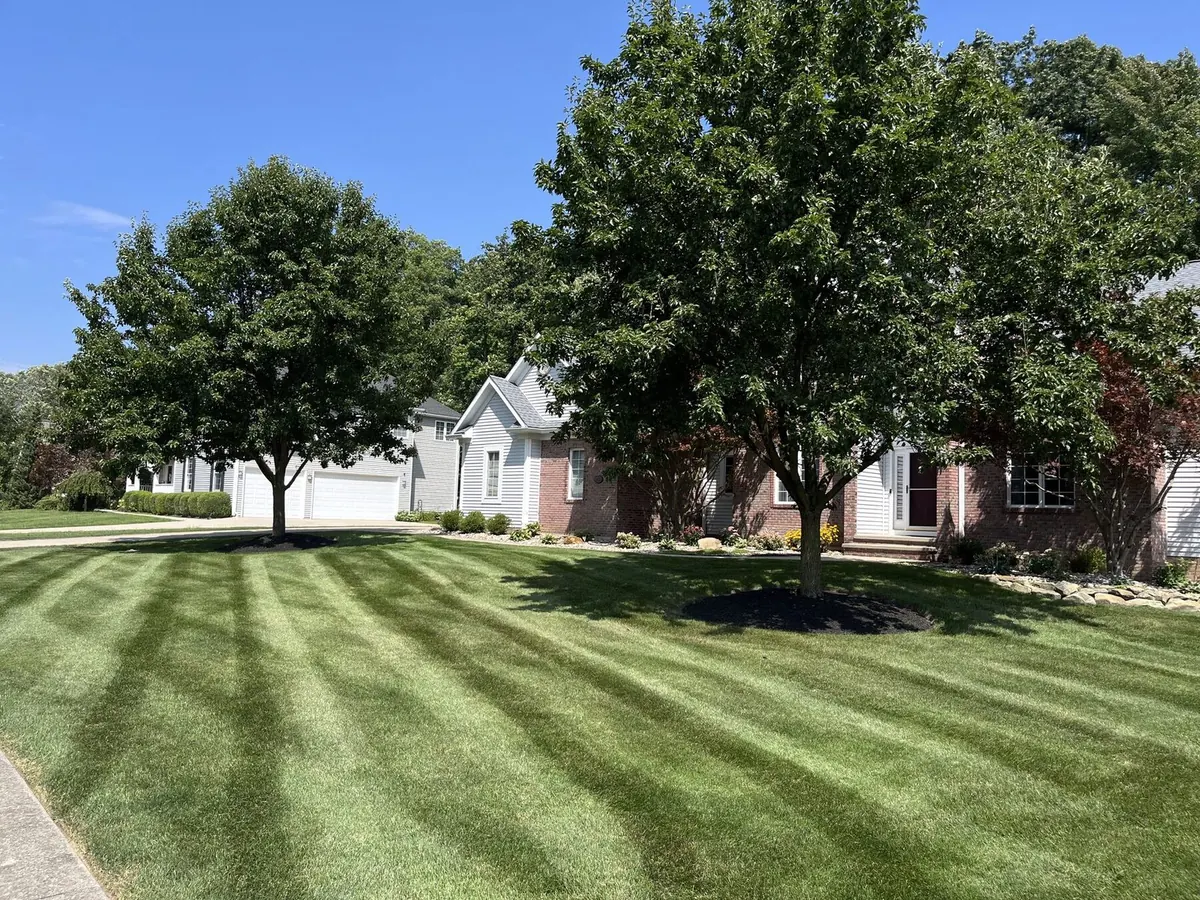 Front yard with autumn color