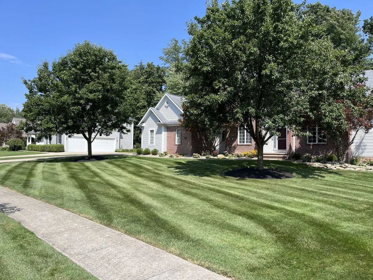 Lawn with fall leaves