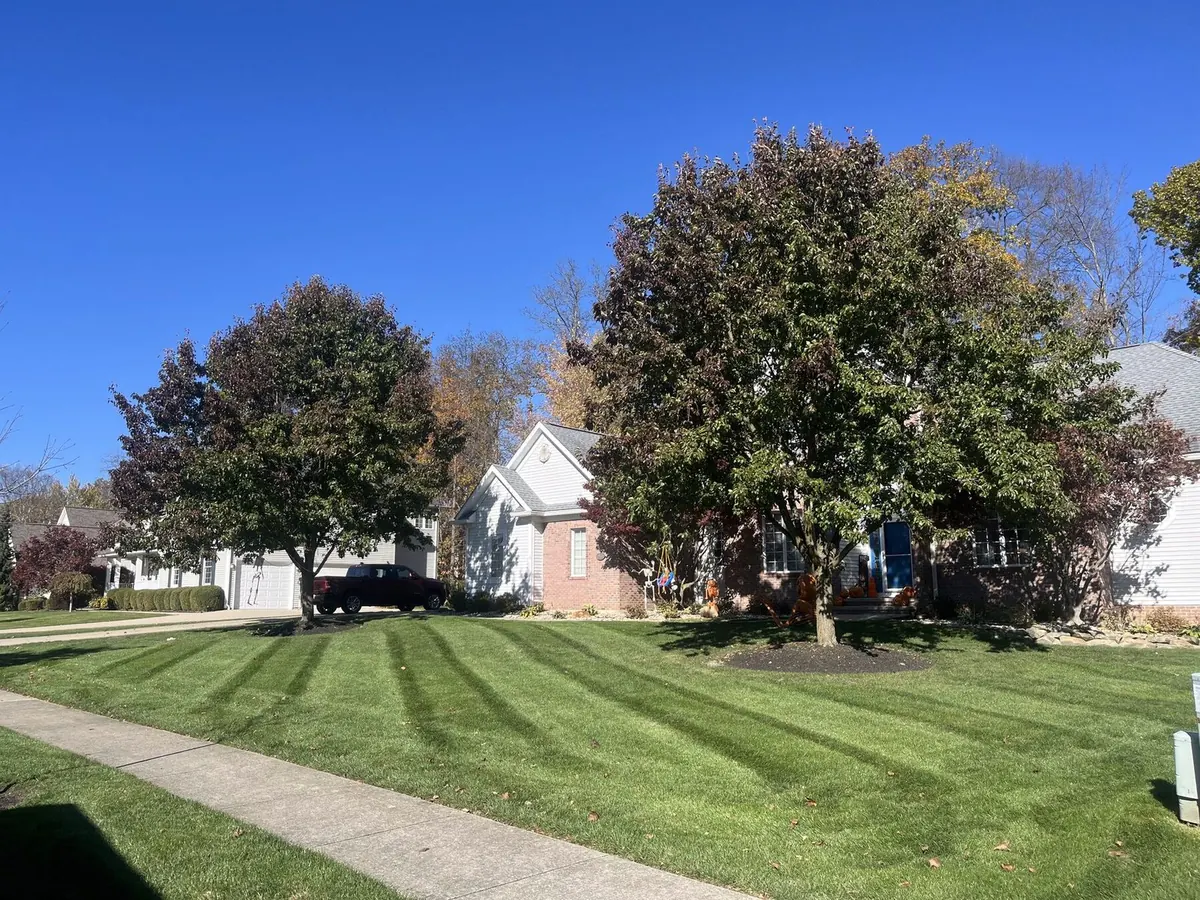 Autumn home and yard