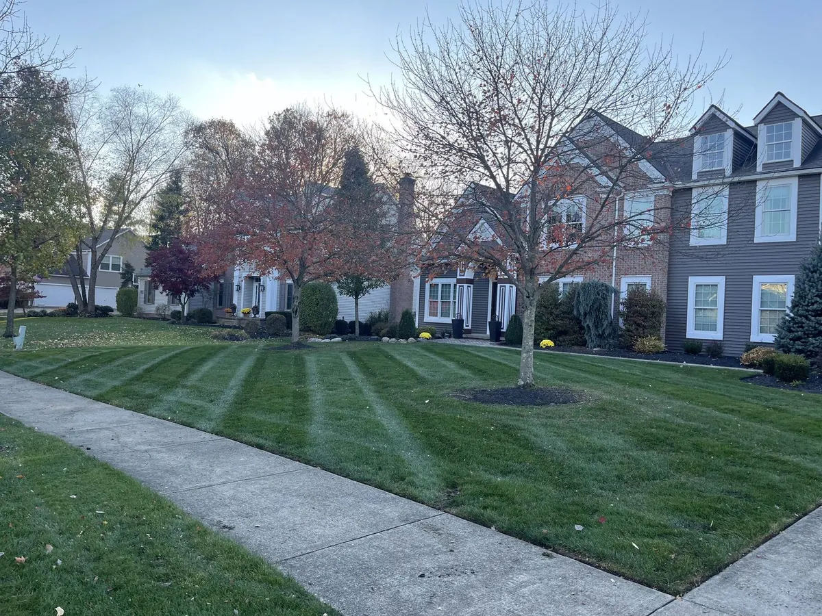 Open lawn covered in autumn leaves before cleanup