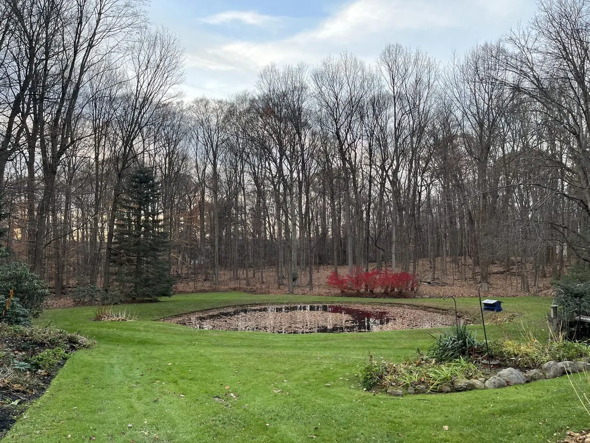 Late autumn property cleanup