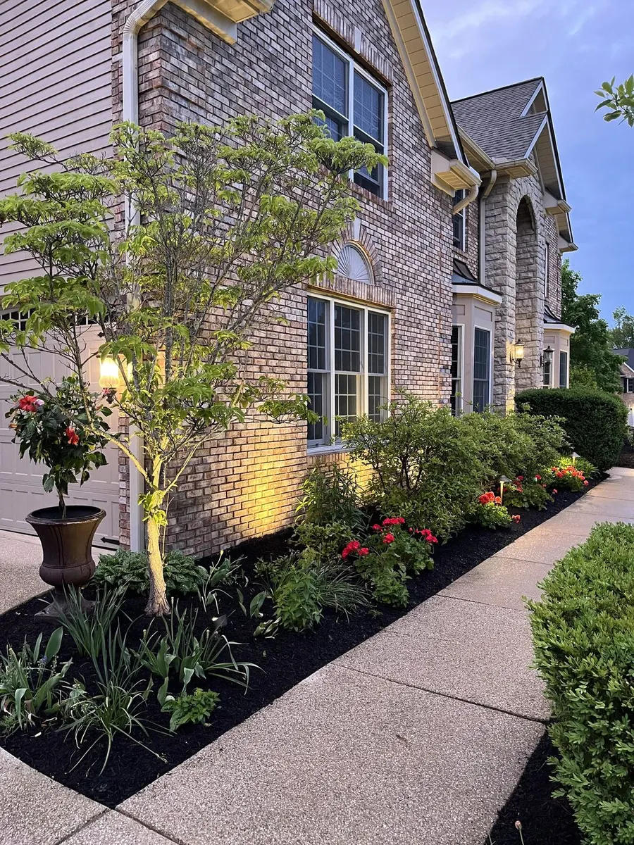 Front yard landscape design at dusk