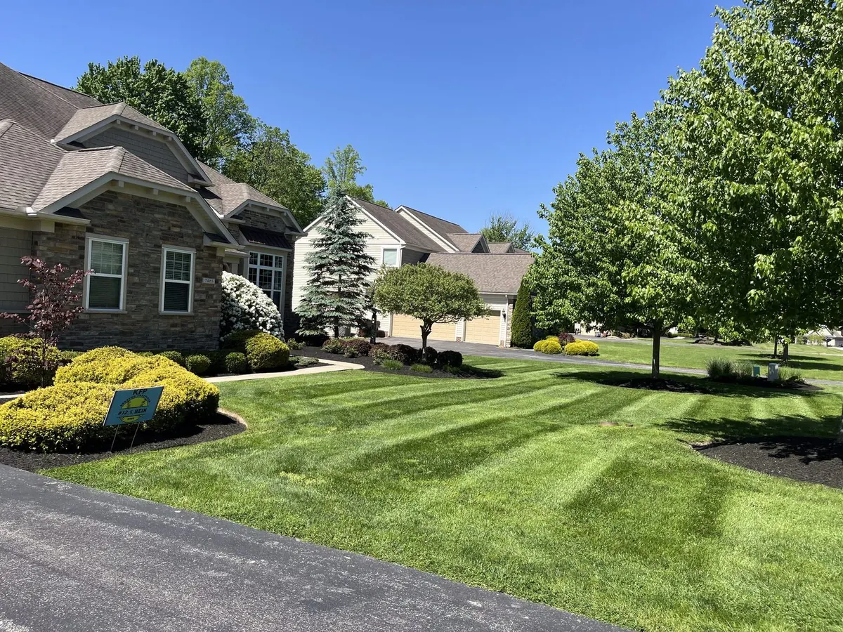 Side yard landscape install