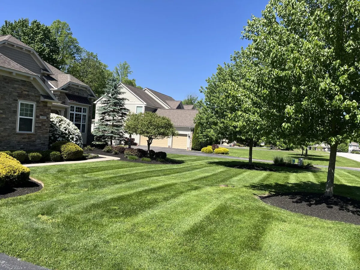 Wide angle of estate property landscape