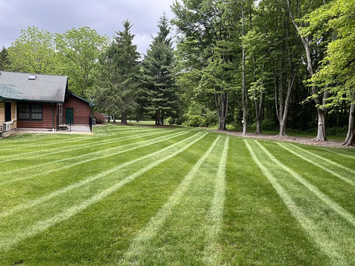 Side yard with green stripes