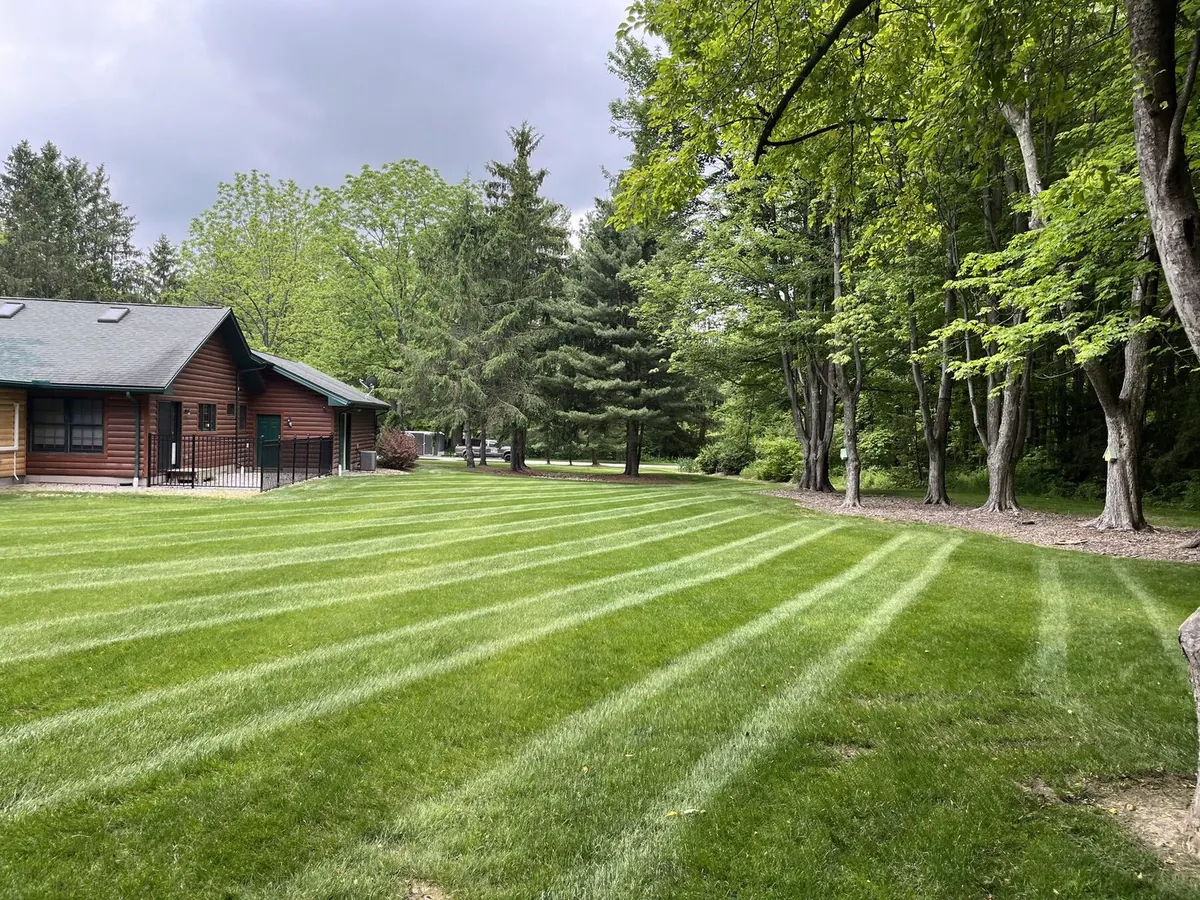 Manicured lawn with crisp edges