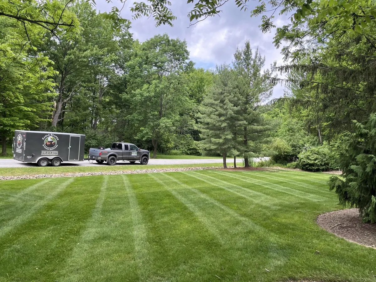 Mowed lawn front yard with mature trees