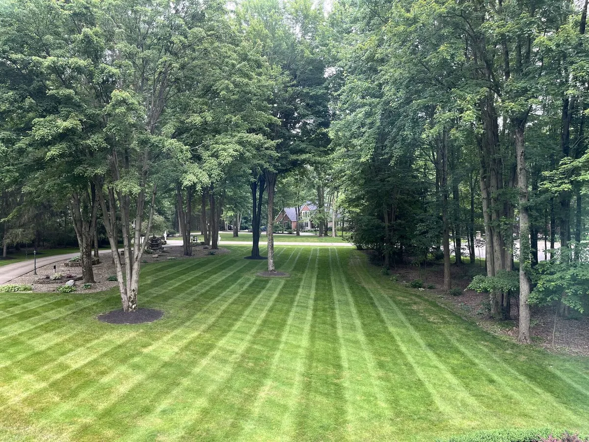 Two-tone mowing pattern on residential lawn